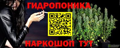 мяу мяу мука Кимры